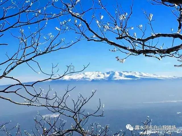 小猫钓鱼正版下载中文版